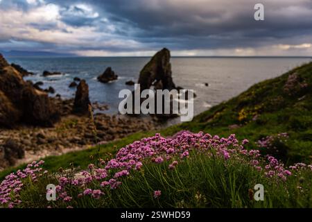 Splendido tramonto a Crohy Arch, Crohy Head, Contea di Donegal, Irlanda Foto Stock