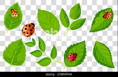 Ladybugs appoggiati su foglie verdi in uno stile vivace di illustrazione vettoriale Illustrazione Vettoriale