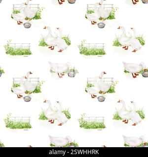 Oca domestica nell'erba vicino alla recinzione, senza cuciture. Illustrazione digitale acquerello. Uccello da fattoria isolato su sfondo bianco. Goose mangia il grai Foto Stock