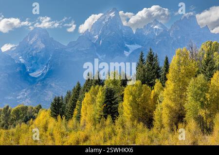 La catena montuosa del Tetton e i lussureggianti alberi verdi Foto Stock