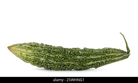 Primo piano di un melone amaro, fresco e verde. Isolato su sfondo bianco. Foto Stock