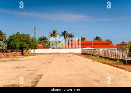Vista estiva su una strada vuota in Sud America. Strada di campagna. Isola di Coche, Venezuela. Foto Stock