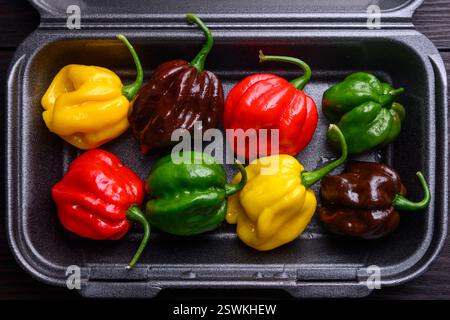Peperoni habanero maturi e multicolori (capsicum chinense) in una scatola di plastica da vicino. Peperoni messicani molto caldi Foto Stock