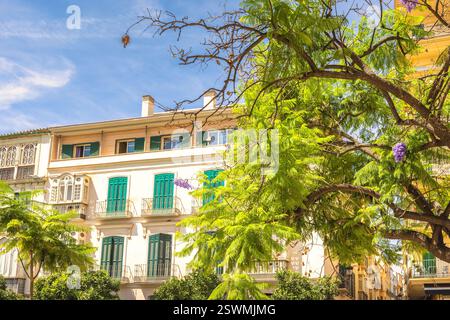 Malaga, città di mare in Andalusia, Spagna, Europa. Architettura mediterranea con lussureggianti alberi verdi e fiori vivaci. Giornata di sole in una città affascinante. Foto Stock