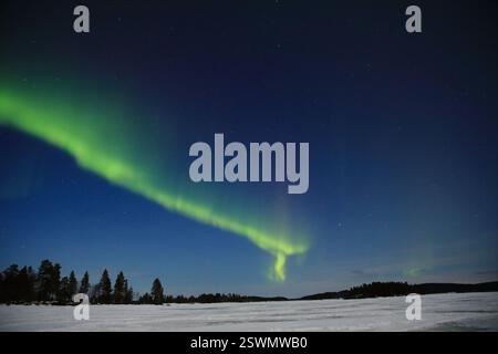 Aurora boreale vista sul lago Inari, Finlandia settentrionale Foto Stock