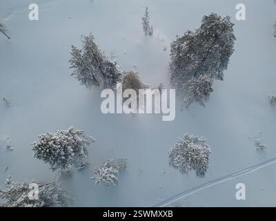 Aurora boreale vista sul lago Inari, Finlandia settentrionale Foto Stock