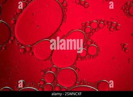 Composizione astratta con gocce d'acqua e olio con luce verde su sfondo rosso Foto Stock