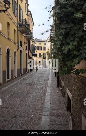 Strada acciottolata in una giornata nuvolosa in una città italiana incorniciata da una pianta sospesa in un vaso di fiori di una finestra Foto Stock