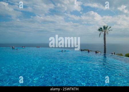 Vista incredibile da una piscina a sfioro all'orizzonte sul mare, con una palma Foto Stock