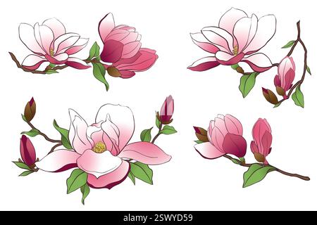 Ramo di Magnolia isolato su sfondo trasparente. Fiori rosa primaverile, gemme e foglie. Illustrazione vettoriale per la creazione di inviti di nozze, congratulazioni per la giornata internazionale della donna. Illustrazione Vettoriale
