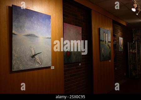 Markaryd, Kronoberg, Svezia. 21 febbraio 2025. Libreria Markaryd. Mostra d'arte. Foto Stock
