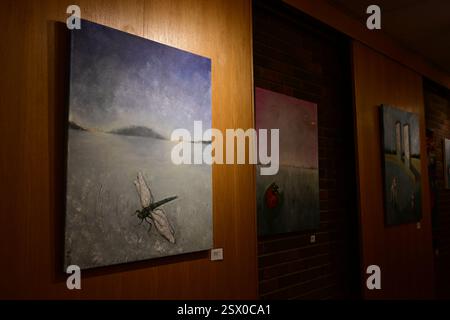 Markaryd, Kronoberg, Svezia. 21 febbraio 2025. Libreria Markaryd. Mostra d'arte. Foto Stock