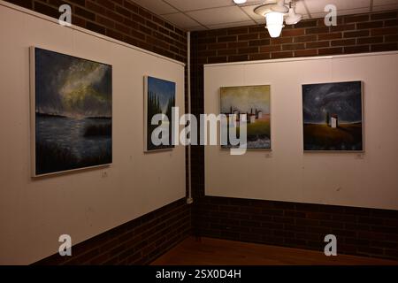 Markaryd, Kronoberg, Svezia. 21 febbraio 2025. Libreria Markaryd. Mostra d'arte. Foto Stock