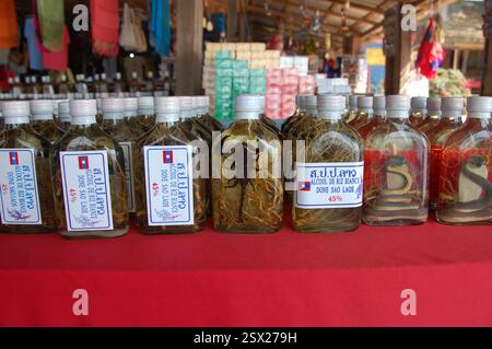 Piccole bottiglie di vetro di liquore di riso del Laos contenenti scorpioni o serpenti, esposte in una bancarella del mercato nel Triangolo d'Oro sul confine tra Thailandia e Laos Foto Stock