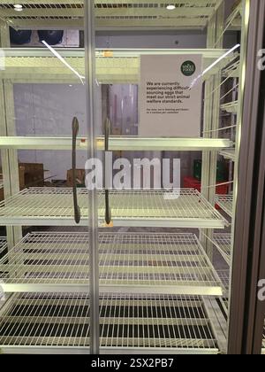 New York, New York, Stati Uniti. 22 febbraio 2022. Scaffali vuoti, che di solito sono riforniti di uova al Whole Foods Market nella sezione di Chelsea a Manhattan. Attualmente negli Stati Uniti c'è una carenza di uova a causa dell'epidemia di influenza aviaria che ha comportato prezzi elevati e difficoltà a ottenere uova per i consumatori e le imprese che si affidano a loro. Crediti: Adam Stoltman/Alamy Live News Foto Stock