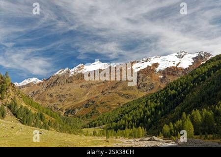 Vista da Melag nella valle di Langtauferer (Südtirol, Italia) verso la fine della valle in una serata d'estate Foto Stock