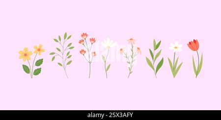 Fiori selvatici primaverili e rami isolati su sfondo rosa. Illustrazione vettoriale disegnata a mano Illustrazione Vettoriale