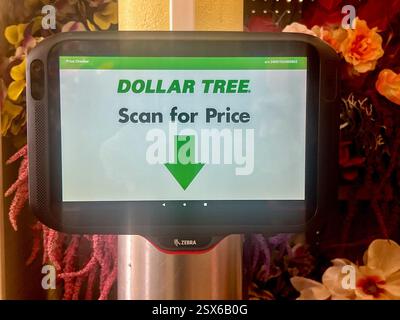 Essex, Stati Uniti. 21 febbraio 2025. 21 febbraio 2025, Baltimora, Maryland, Stati Uniti. Il Dollar Store, dove gli articoli costano $1,25, vende anche articoli a prezzi più elevati che vanno da $3,00 a $7,00 USD. I clienti possono eseguire la scansione degli articoli per confermare quanto denaro è un articolo nel negozio del dollaro. Didascalia: Robyn Stevens Brody/Sipa USA. Crediti: SIPA USA/Alamy Live News Foto Stock