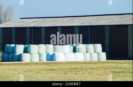 Un mucchio di balle di fieno verdi e bianche avvolte in plastica è impilato ordinatamente su un cortile accanto a un grande fienile marrone con un tetto ondulato sotto il blu chiaro Foto Stock