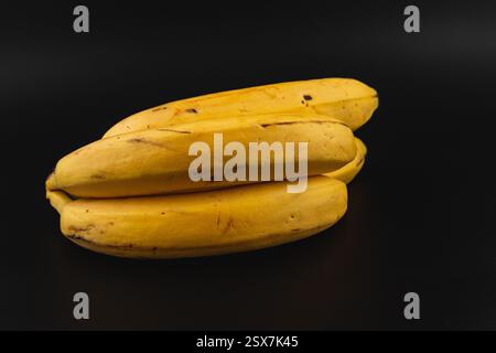 Tre banane gialle mature sono disposte in modo ordinato su una superficie scura. Le banane mostrano imperfezioni naturali, mostrando la loro disponibilità a vari culinari Foto Stock