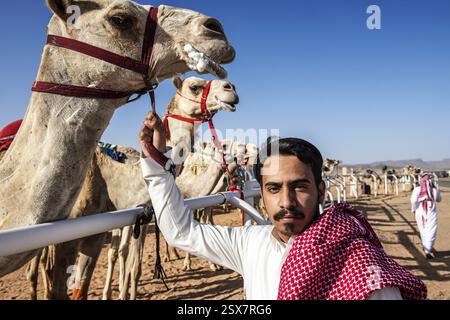 Sheikh con il suo cammello da corsa alla al Ula Camel Cup nel Mughayra Heritage Sports Village, al Ula, Arabia Saudita, Asia Foto Stock