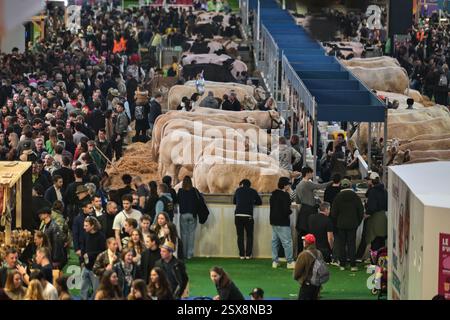 Parigi, Francia. 22 febbraio 2025. I visitatori passeggiano alla Fiera Internazionale dell'Agricoltura di Parigi, Francia, il 22 febbraio 2025. Foto di Firas Abdullah/ABACAPRESS. COM credito: Abaca Press/Alamy Live News Foto Stock