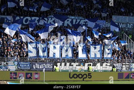Darmstadt, Germania. 23 febbraio 2025. 23.02.2025, xdcx, Fussball 2. Bundesliga, SV Darmstadt 98 - FC Schalke 04, emonline, emspor, despor, v.l., Schalke-fans, fans, Stimmung, Schals, Trikots, LE NORMATIVE EMOTIONEN DFL/DFB VIETANO QUALSIASI USO DI FOTOGRAFIE COME SEQUENZE DI IMMAGINI E/O QUASI-VIDEO. Credito: dpa/Alamy Live News Foto Stock
