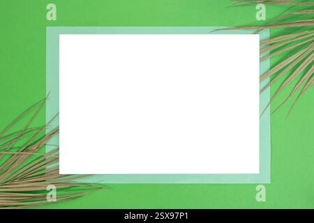 Foglie di palma esotiche su sfondo di carta verde , cornice blu e rettangolo vuoto bianco , sfondo astratto Foto Stock