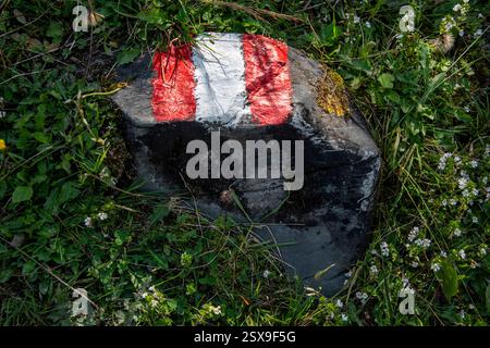 Cartelli rossi-bianchi-rossi dipinti sulle rocce, che guidano gli escursionisti attraverso il lussureggiante terreno alpino nel paesaggio montuoso dell'Austria Foto Stock