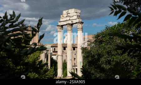 Tre colonne sopravvissute del Tempio di Castore e Polluce nell'antico foro Romano, viste attraverso gli alberi. Foto Stock