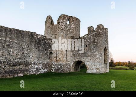 Castello in rovina, Trim, Baile Átha Troim, Co Meath, Irlanda Foto Stock