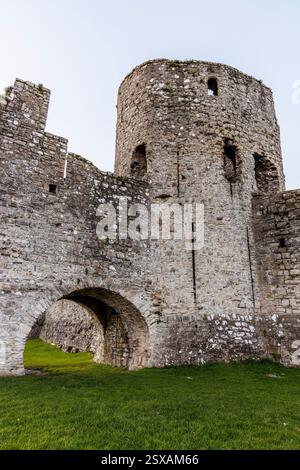 Castello in rovina, Trim, Baile Átha Troim, Co Meath, Irlanda Foto Stock