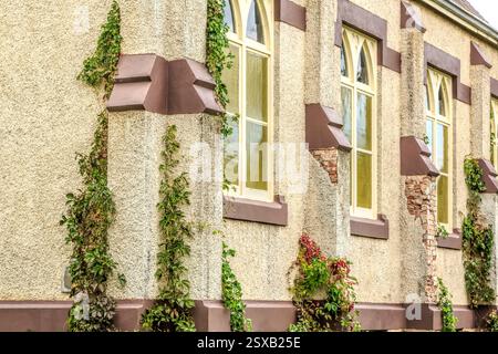 Edificio con edera che cresce su di esso presenta un esterno in mattoni marroni. L'edera sta crescendo sul lato dell'edificio, coprendo l'intero muro. L'edificio l'ha fatto Foto Stock