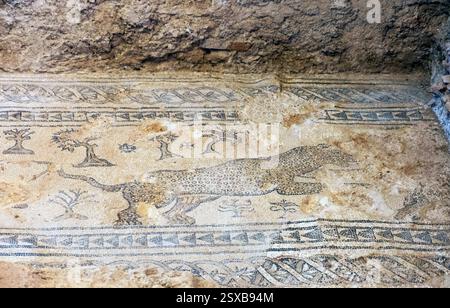 Mosaici della scena di caccia a Villa Romana Salar, Provincia di Granada, Andalusia, Spagna. Foto Stock