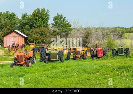 Le file dei vecchi trattori sono parcheggiate in un campo. I trattori sono di diversi colori e dimensioni Foto Stock