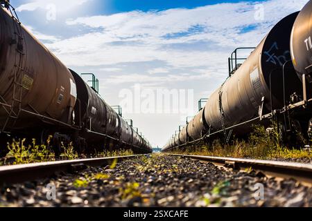 Allenati con molte auto. Il treno è sui binari Foto Stock