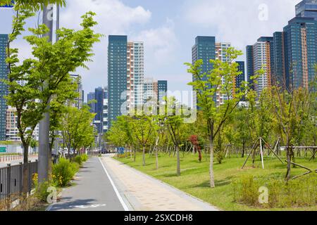 Sejong City, Corea del Sud - 26 maggio 2021: Un percorso ciclabile e pedonale alberato attraversa un parco urbano, con alti e moderni appartamenti i Foto Stock