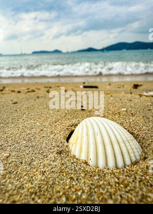 Macro Shell su sabbia calda con onde e barche sullo sfondo Un macro shot di una conchiglia appoggiata su sabbia morbida e calda. Lo sfondo sfocato è più alto Foto Stock