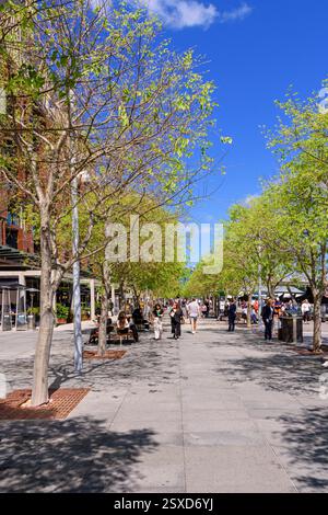 Passeggiata sul lungomare di Wulugul lungo le rive del Darling Harbour a Barangaroo, Sydney, nuovo Galles del Sud, Australia Foto Stock