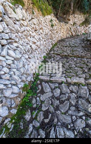 Muro e sentiero in pietra viva senza Malta, Randa, Algaida, Maiorca, Isole Baleari, Spagna. Foto Stock