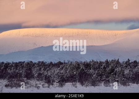 Montagne innevate che brillano di rosa all'alba su una foresta in inverno Foto Stock