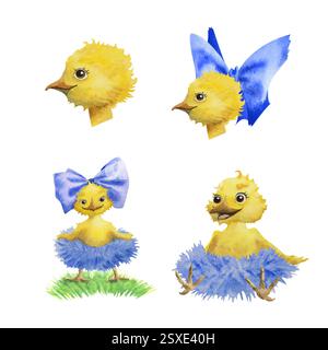 Set di grazioso pollo giallo. In una gonna soffice blu, con fiocco blu. Illustrazione ad acquerello disegnata a mano, isolata su sfondo bianco. Perfetto Foto Stock
