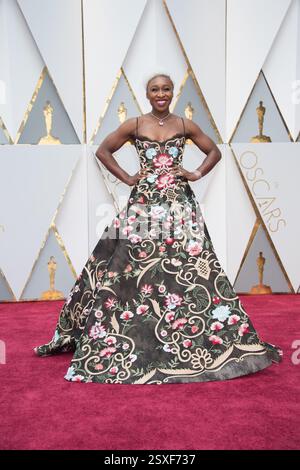 Il 89° Annual Academy Awards all'Hollywood & Highland Center il 26 febbraio 2017 a Hollywood, California Foto Stock