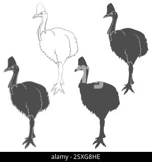 Serie di illustrazioni in bianco e nero con uccello cassowary, casuarius. Oggetti vettoriali isolati su sfondo bianco Illustrazione Vettoriale