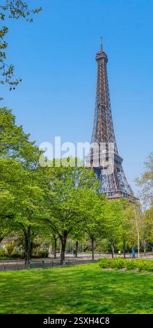 La Torre Eiffel si erge maestosamente contro un cielo blu limpido, circondato da vivaci alberi verdi in un parco. I visitatori apprezzano l'atmosfera serena in una giornata di sole a Parigi. Foto Stock