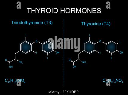Molecola di triiodotironina T3. Formula scheletrica della tiroxina T4 su sfondo scuro. Formula strutturale chimica molecolare e modello di ormoni tiroidei Illustrazione Vettoriale