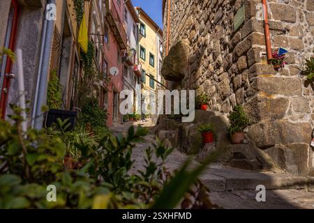 Vista di una stretta strada (Rua pena Ventosa), piccola piazza nel centro storico della città di Porto, Portogallo Foto Stock