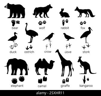 Forme di animali con impronte. Impronte di zampe di mammiferi e uccelli. La silhouette nera fa scalini. Iscrizioni di testo. Creature selvatiche. Struzzo o elefante Illustrazione Vettoriale