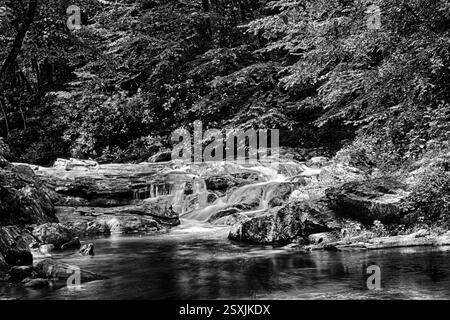 Il flusso d'acqua scorre lungo una collina rocciosa. L'acqua è limpida e calma. Le rocce sono sparse in tutta l'area, con alcune più grandi e alcune piccole Foto Stock