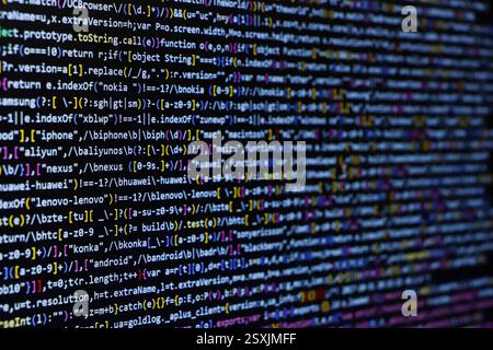 Codice sorgente TitleSoftware. Codice di programmazione. Codice di programmazione sullo schermo del computer. Sviluppatore che lavora sui codici del programma in ufficio. Codice sorgente Foto Stock